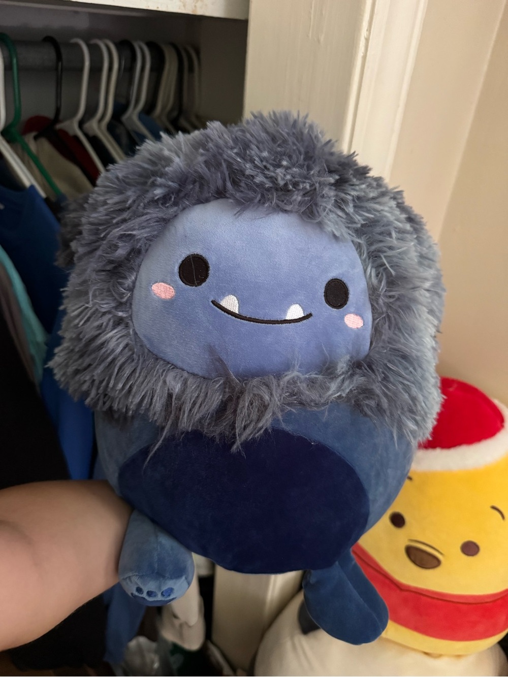 Dani the squishmallow